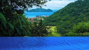 A lush green landscape with a view of the sea and a small island. - Overlooks Los Suenos Marina 5BR (Playa Herradura)