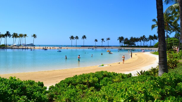 Une plage avec une eau d’un bleu limpide, des palmiers et des gens qui se baignent.