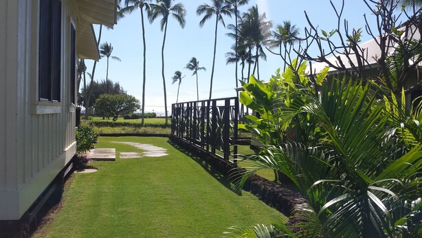 A well-maintained lawn with a pathway, palm trees, and a wooden fence.
