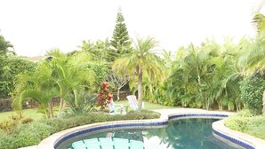A swimming pool surrounded by lush greenery and a few chairs.