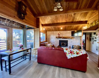 Family & Pet friendly! THAT Cabin with the amazing view!