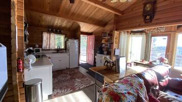 Smart TV, fireplace, video games, DVD player