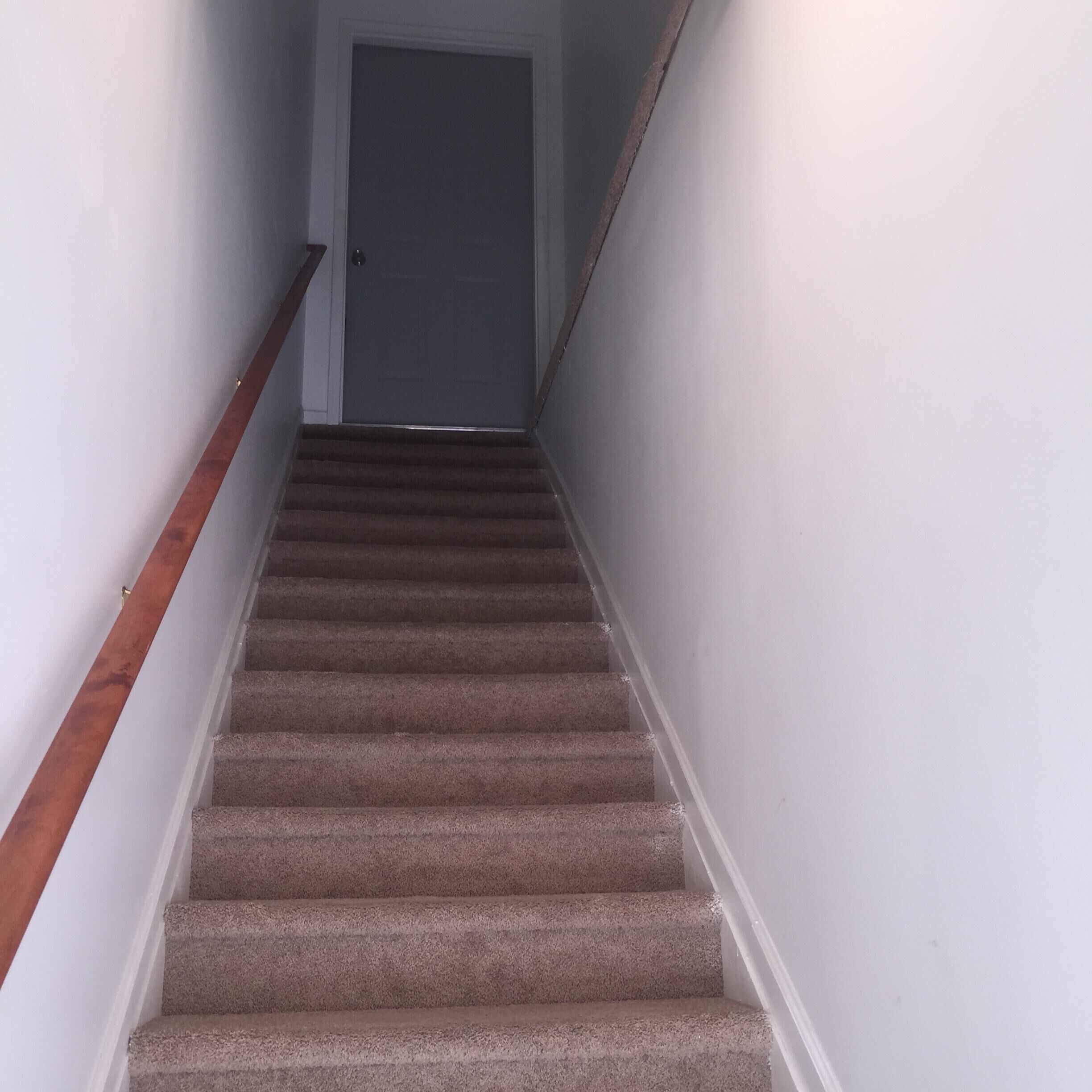 A carpeted staircase with wooden handrails, leading to a closed door at the top.