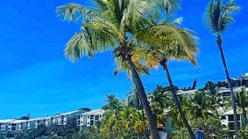 Plage, chaises longues, serviettes de plage