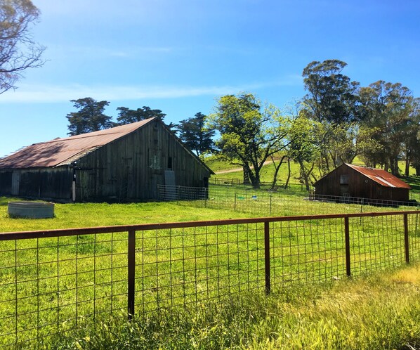 A rustic barn with a metal fence in the foreground.