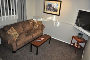 Télévision, cheminée, livres, chaîne hi-fi