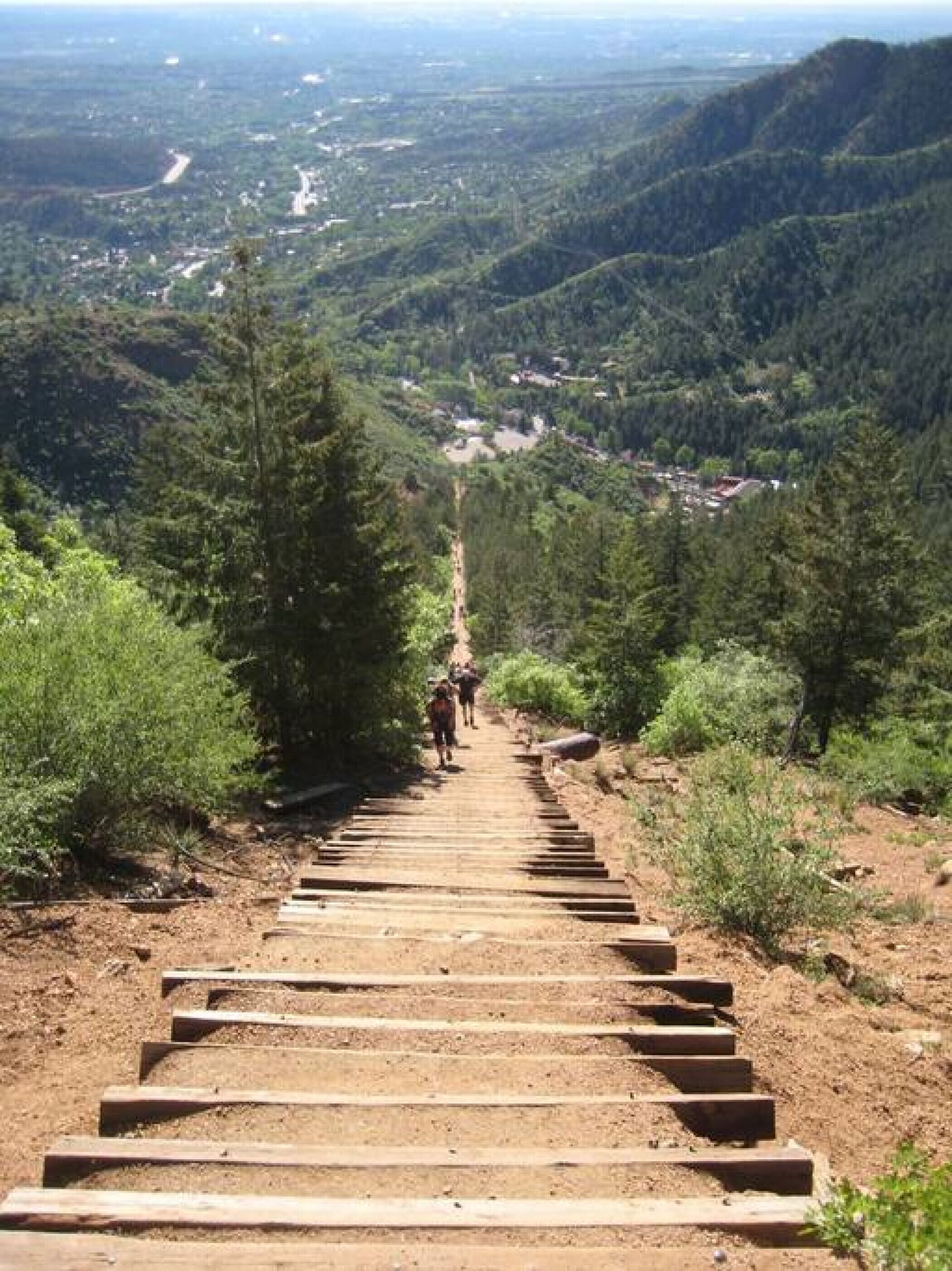 Una escalera de madera que asciende una montaña, con un bosque denso a ambos lados.