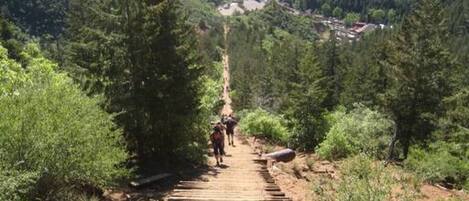 Una escalera de madera que asciende una montaña, con un bosque denso a ambos lados.