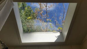 Et ovenlys i et rum med udsigt til træer og en klar himmel.