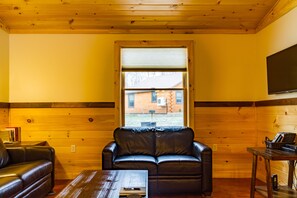 Smart TV, DVD player, books, video library - Rustic yet Modern Log Cabin, Cayuga Wine Trail, Dog Friendly, Open Year Round (Ovid)