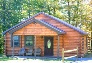 Exterior - Rustic yet Modern Log Cabin, Cayuga Wine Trail, Dog Friendly, Open Year Round (Ovid)