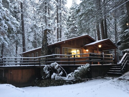 Log Cabin Nestled in the Pine Trees in Yosemite National Park
