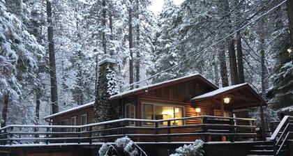 Log Cabin Nestled in the Pine Trees in Yosemite National Park