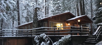 Log Cabin Nestled in the Pine Trees in Yosemite National Park