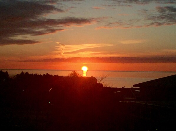 Chaises longues, serviettes de plage