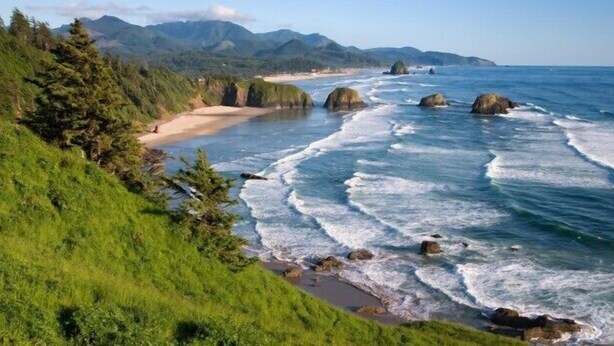Un paisaje costero con una playa, afloramientos rocosos y una ladera cubierta de bosque.
