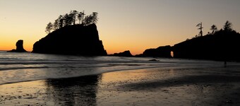 Enchanted Forest Cabin In Majestic Setting - Olympic N. P. On Your Doorstep