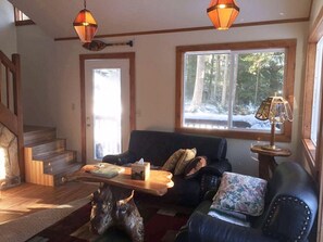 Smart TV, DVD player, books, video library