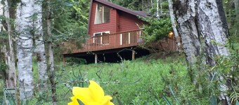 Enchanted Forest Cabin In Majestic Setting - Olympic N. P. On Your Doorstep