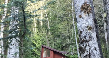 Zauberwaldhütte in majestätischer Umgebung - Olympic N. P. Vor Ihrer Haustür