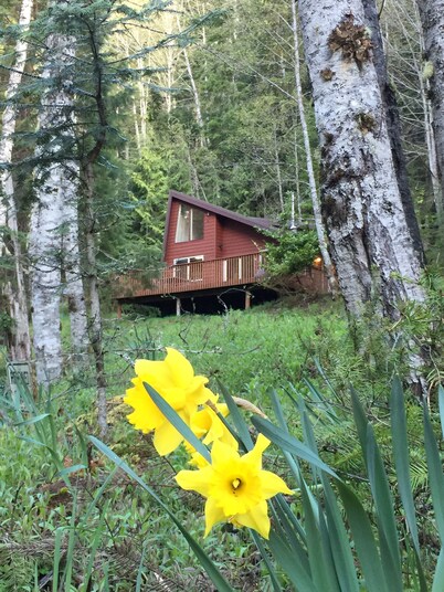 Enchanted Forest Cabin In Majestic Setting - Olympic N. P. On Your Doorstep