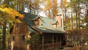 A log cabin with a green roof, surrounded by trees and fallen leaves.