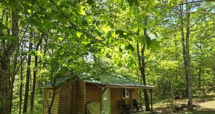 Forest Cabin at Sinking Creek. A cozy cabin in the National Forest!