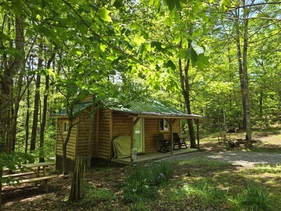 Forest Cabin at Sinking Creek. A cozy cabin in the National Forest!
