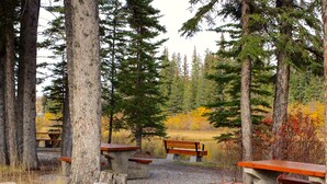 A forested area with picnic tables and benches. - Mountain + Creek View. 5 Min Walk To Main Street. An Amazing Home Base! (Canmore)