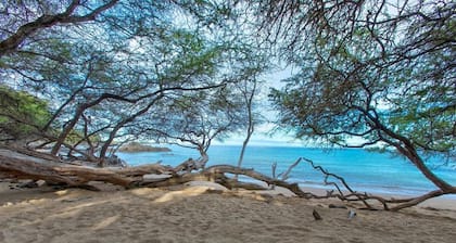 Spectacular Beachfront Home! Waialea Bay Beach House on White Sand Beach