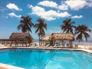 Outdoor pool, a heated pool - OCEANFRONT! RESERVE QUICKLY! YOU’LL LOVE IT! EVERYONE DOES! License #26- 0403 (Tavernier)