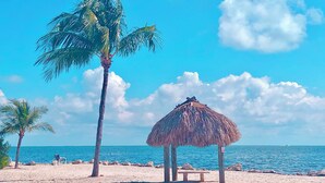 Una spiaggia con un ombrellone di paglia, palme e una panchina.