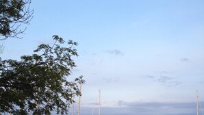 Un puerto deportivo con barcos amarrados, una cubierta de madera y una barandilla.