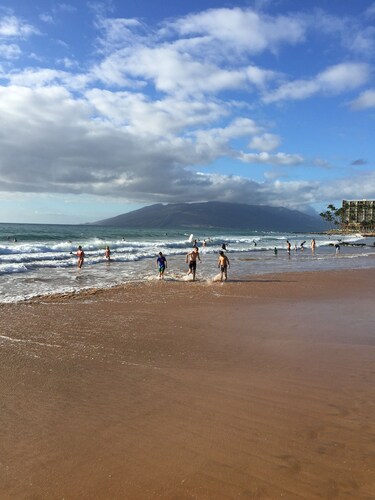 Private Oasis - 3bdrm Cottage on a Full Acre at Maui's Famous Keawakapu Beach