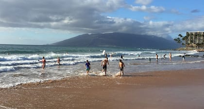 Private Oasis - 3bdrm Cottage on a Full Acre at Maui's Famous Keawakapu Beach