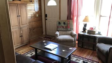 Smart TV, fireplace, DVD player, books
