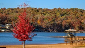 A lakeside view with a red-leafed tree, a wooden dock, and a building in the background.