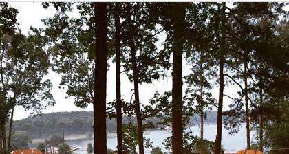 Tan Yurt On Beautiful Logan Martin Lake. Located in Clear Creek Cove RV Resort.