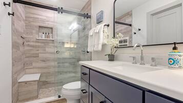 Combined shower/tub, hair dryer