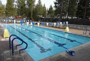 Une piscine avec des couloirs délimités, un plongeoir et un poste de surveillance pour les sauveteurs.