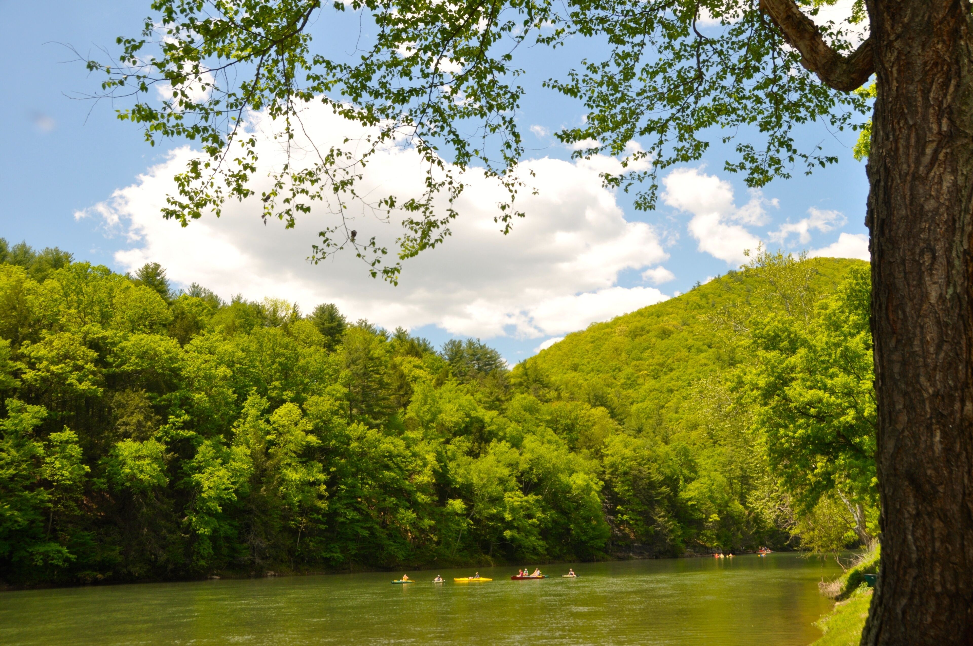 Ein Fluss, umgeben von dichtem grünen Wald und Hügeln.