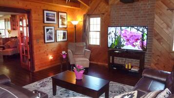 Smart TV, fireplace, DVD player, books