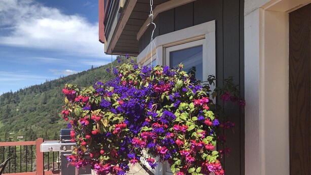 A balcony with a hanging flower arrangement and a view of a forested hillside. - The Best Alaskan Get Away Retreat For Your Family Or Group (Anchorage)