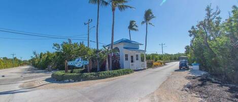Un petit bâtiment avec un toit bleu, des palmiers et une enseigne sur laquelle on peut lire « OCEAN POINT ».