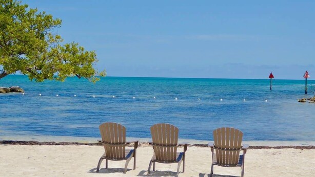 Three Adirondack chairs facing a beach with clear blue water and a tree on the left. - Bright & Sunny Suite w/ Magnificent Ocean Views (Tavernier)