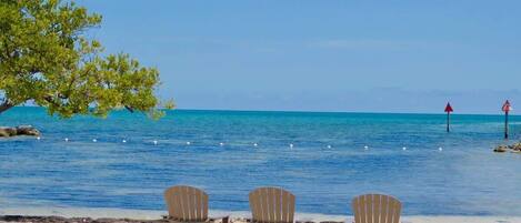 Nær stranden, solsenger og strandhåndklær