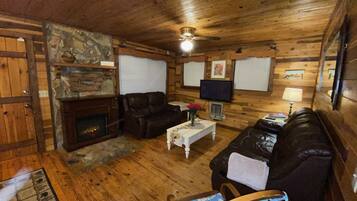 Televisión, chimenea y libros