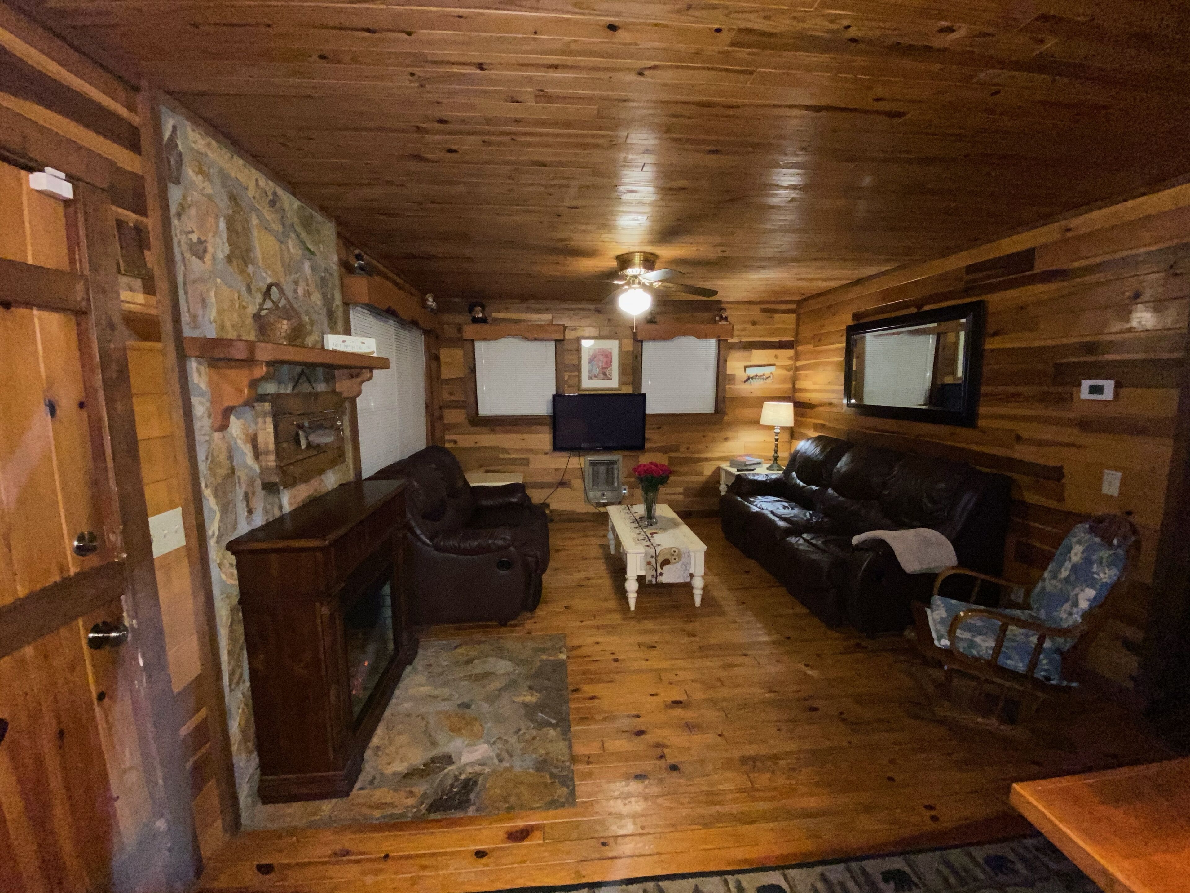 Televisión, chimenea y libros 