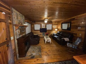 TV, fireplace, books