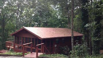 A wooden cabin with a metal roof, surrounded by dense forest.